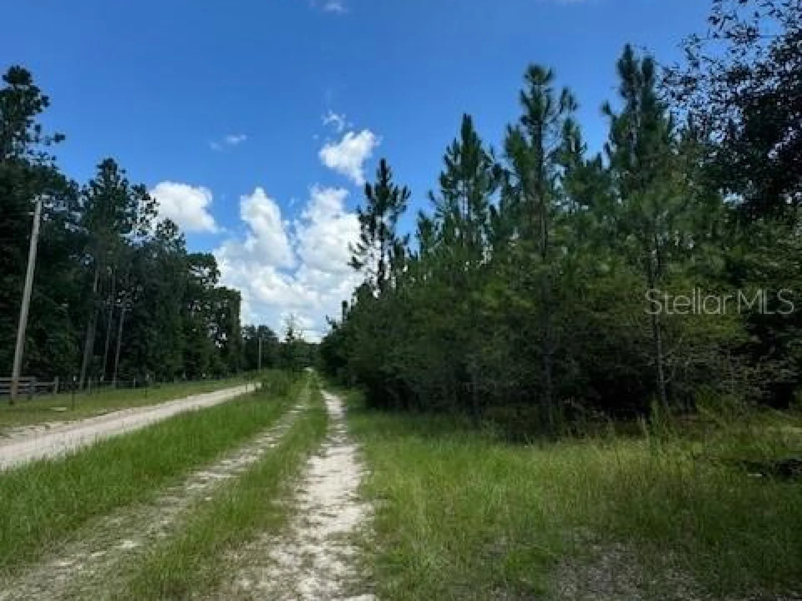 SW COLES CT, FORT WHITE, FL — photo 12