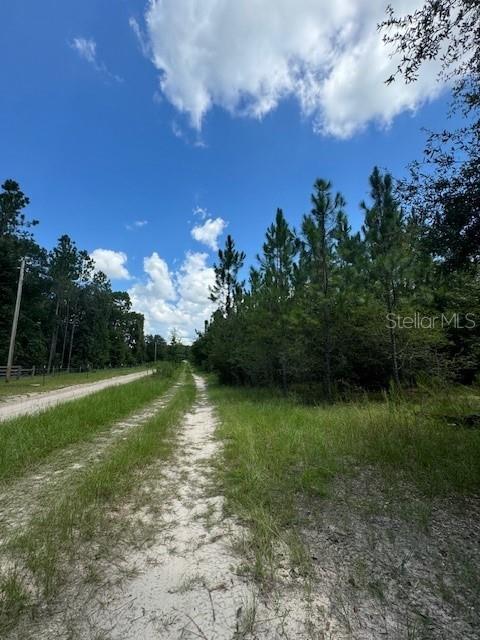 SW COLES CT, FORT WHITE, FL — photo 11