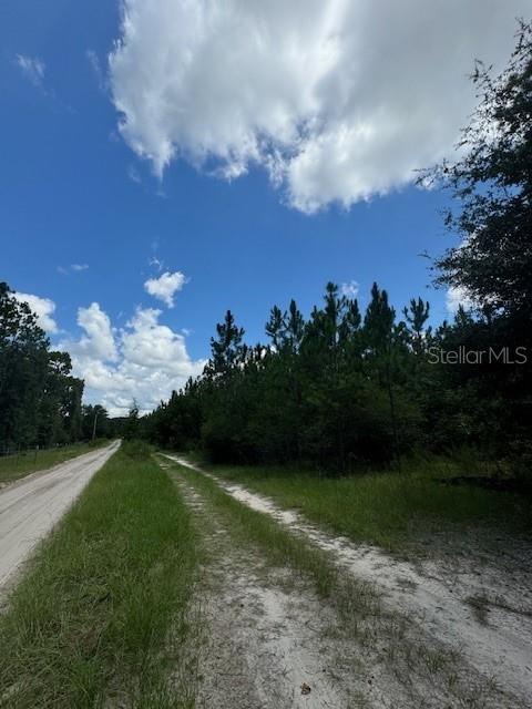 SW COLES CT, FORT WHITE, FL — photo 16