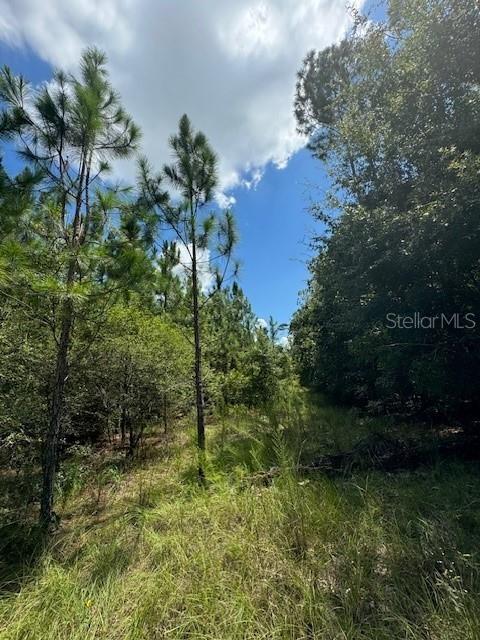 SW COLES CT, FORT WHITE, FL — photo 21