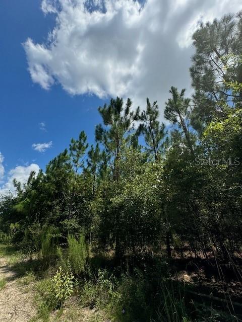SW COLES CT, FORT WHITE, FL — photo 24