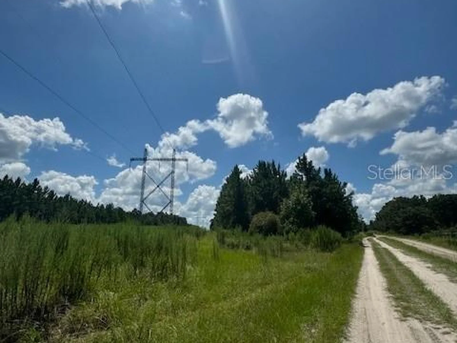 SW COLES CT, FORT WHITE, FL — photo 25