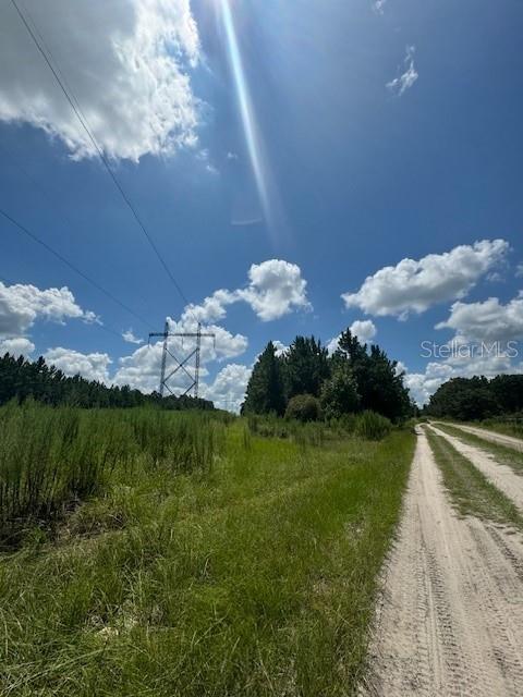 SW COLES CT, FORT WHITE, FL — photo 26