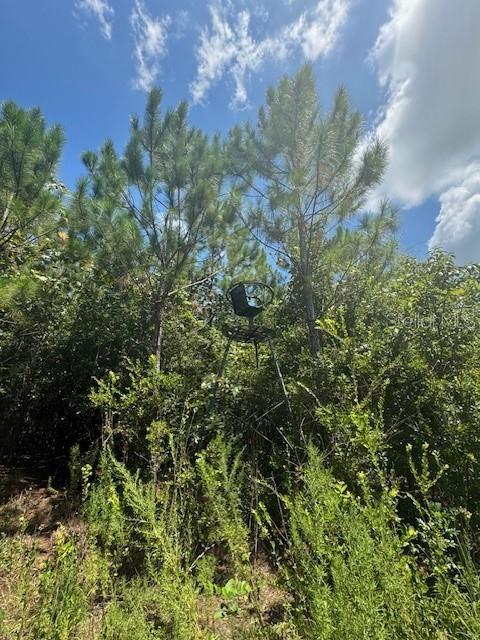 SW COLES CT, FORT WHITE, FL — photo 27
