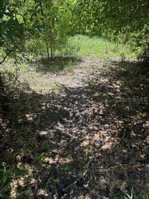 SW COLES CT, FORT WHITE, FL — photo 30