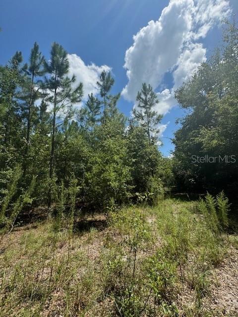 SW COLES CT, FORT WHITE, FL — photo 31