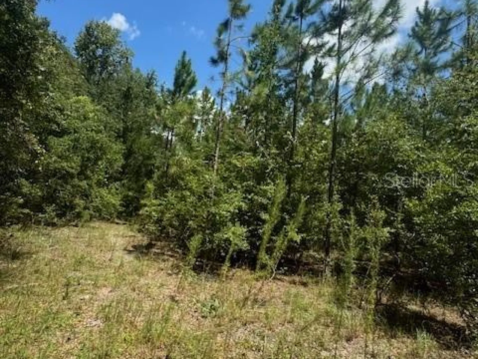 SW COLES CT, FORT WHITE, FL — photo 34