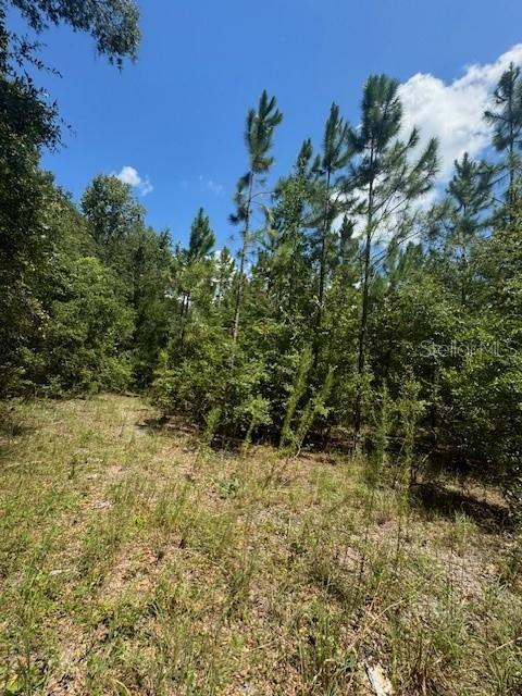 SW COLES CT, FORT WHITE, FL — photo 33