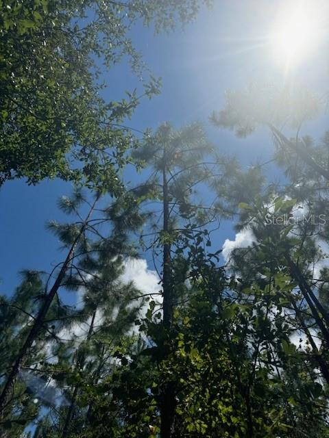 SW COLES CT, FORT WHITE, FL — photo 35