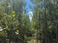 SW COLES CT — photo 40