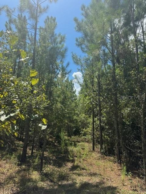 SW COLES CT, FORT WHITE, FL — photo 39