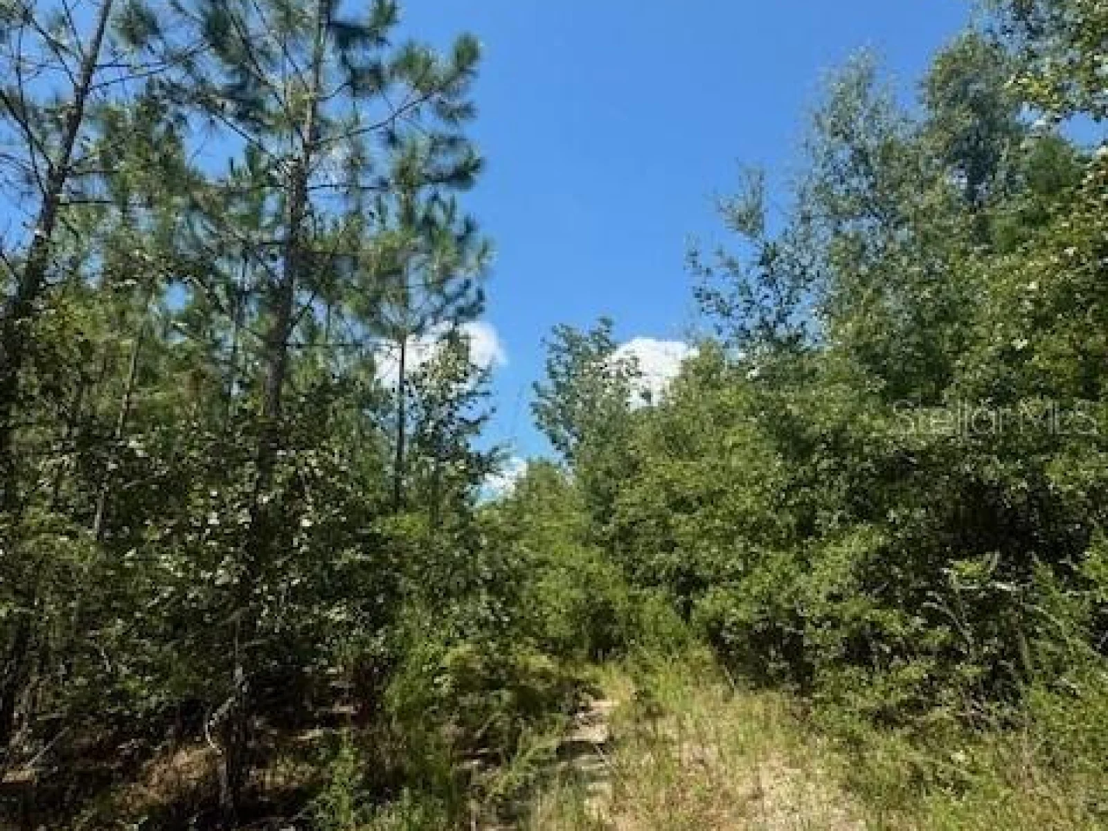 SW COLES CT, FORT WHITE, FL — photo 41