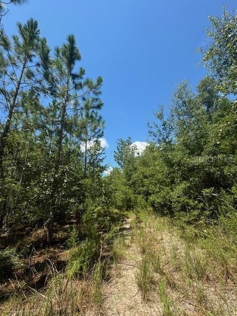 SW COLES CT, FORT WHITE, FL — photo 42
