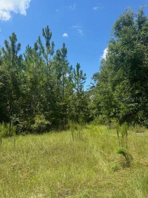 SW COLES CT, FORT WHITE, FL — photo 44
