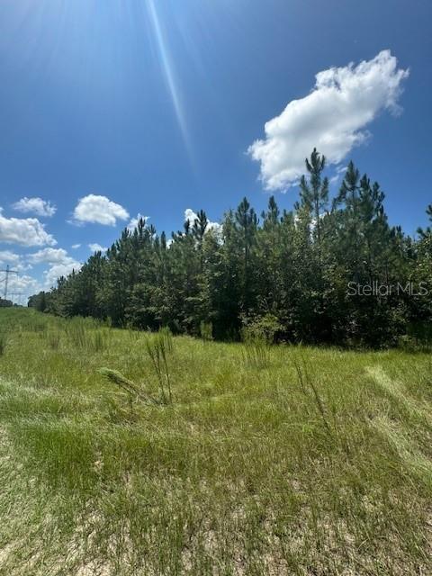 SW COLES CT, FORT WHITE, FL — photo 46