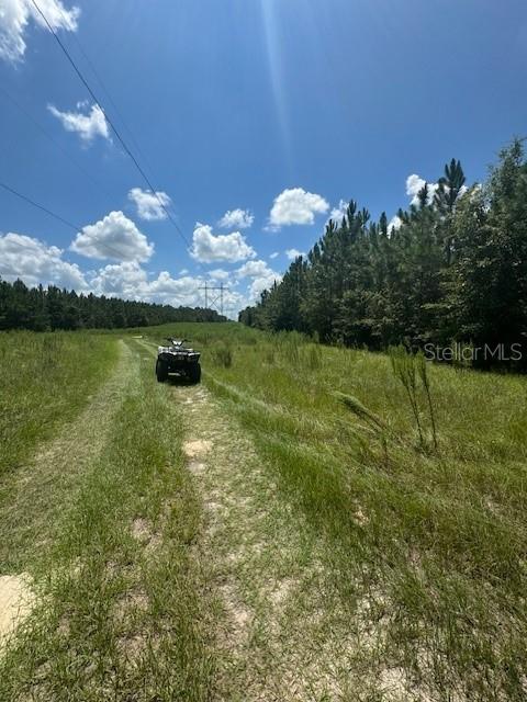 SW COLES CT, FORT WHITE, FL — photo 47