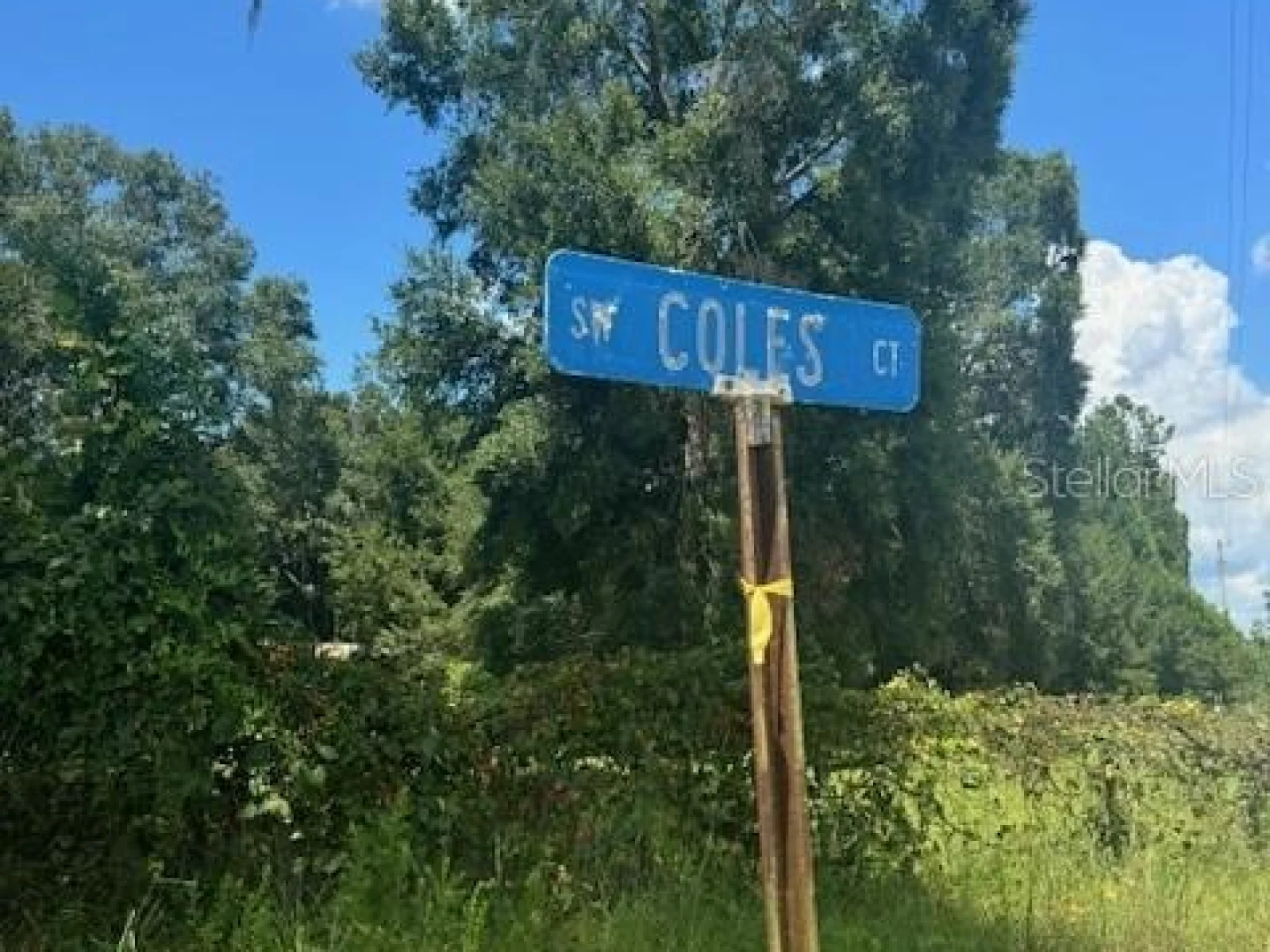 SW COLES CT, FORT WHITE, FL — photo 51