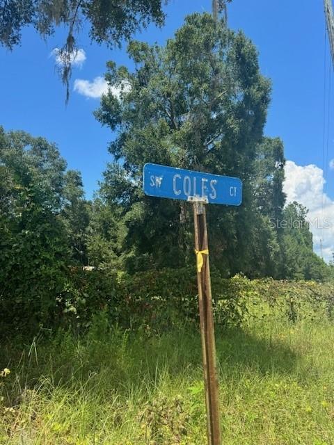 SW COLES CT, FORT WHITE, FL — photo 52