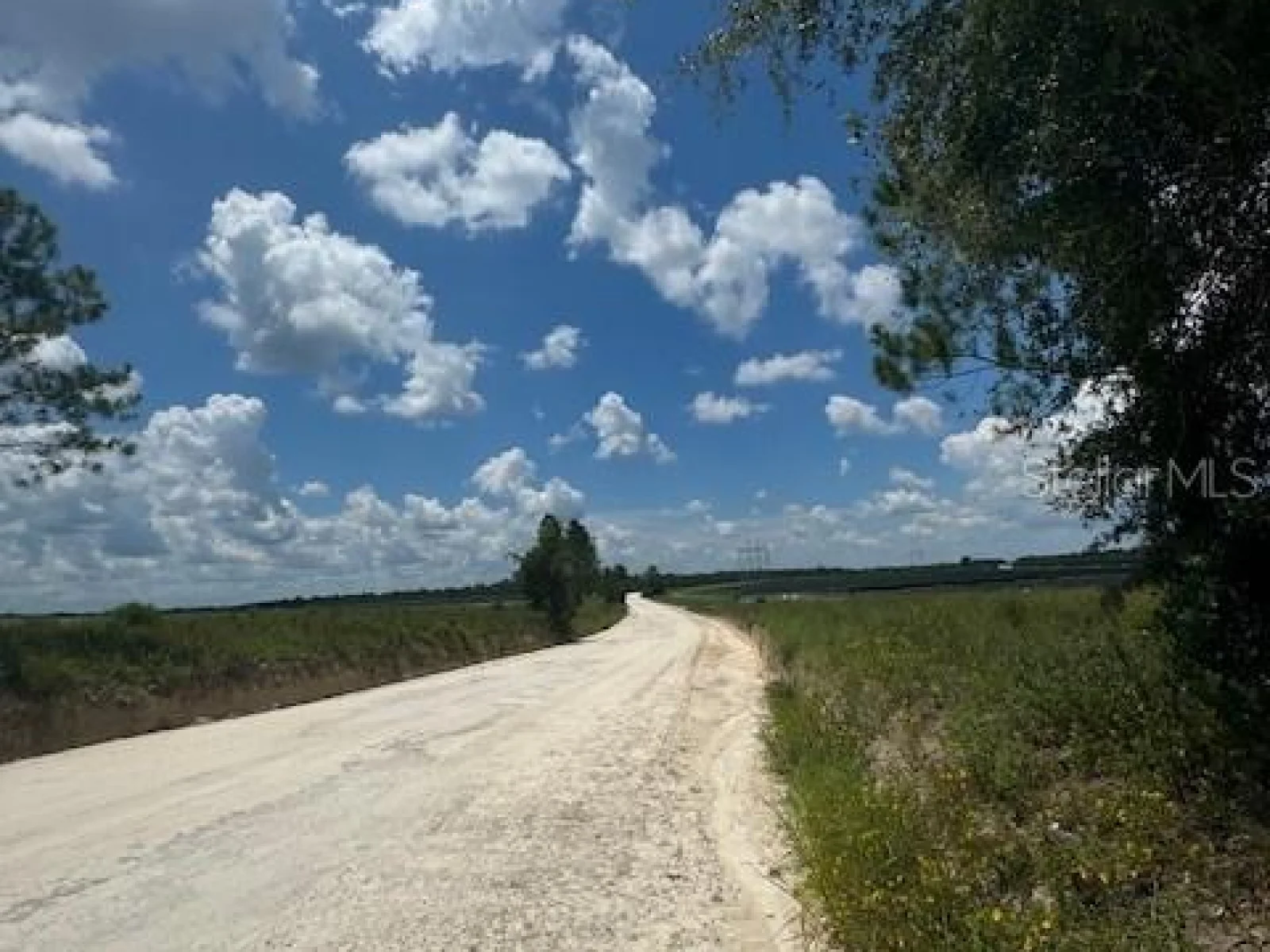 SW COLES CT, FORT WHITE, FL — photo 55