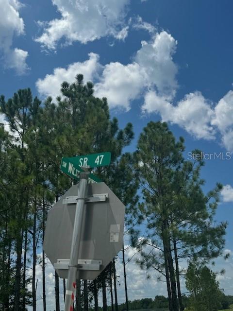 SW COLES CT, FORT WHITE, FL — photo 57