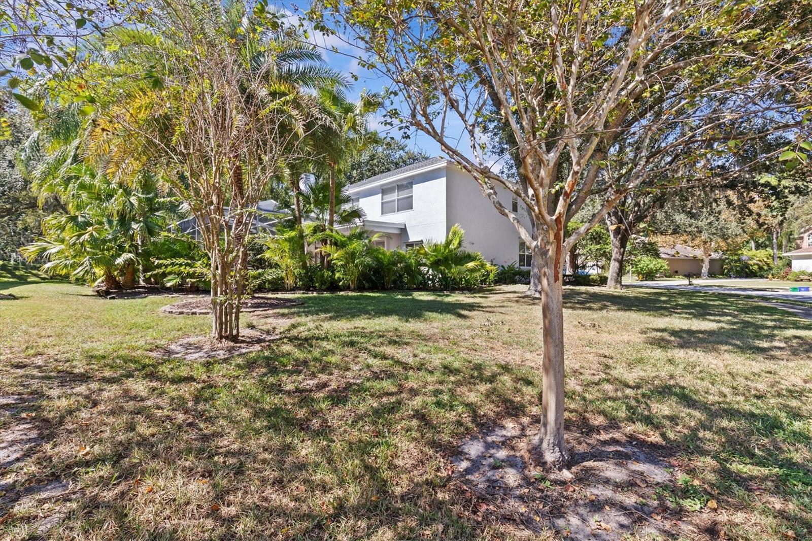 2328 WARWICK DR, OLDSMAR, FL — photo 6