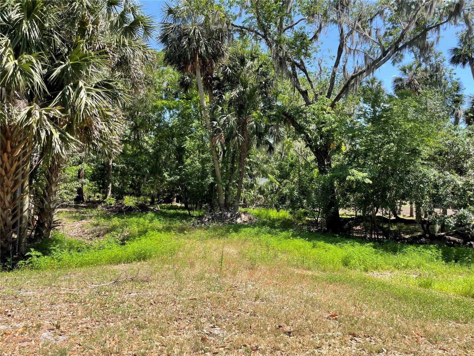 1496 KETTLEDRUM TRL, DELTONA, FL — photo 2