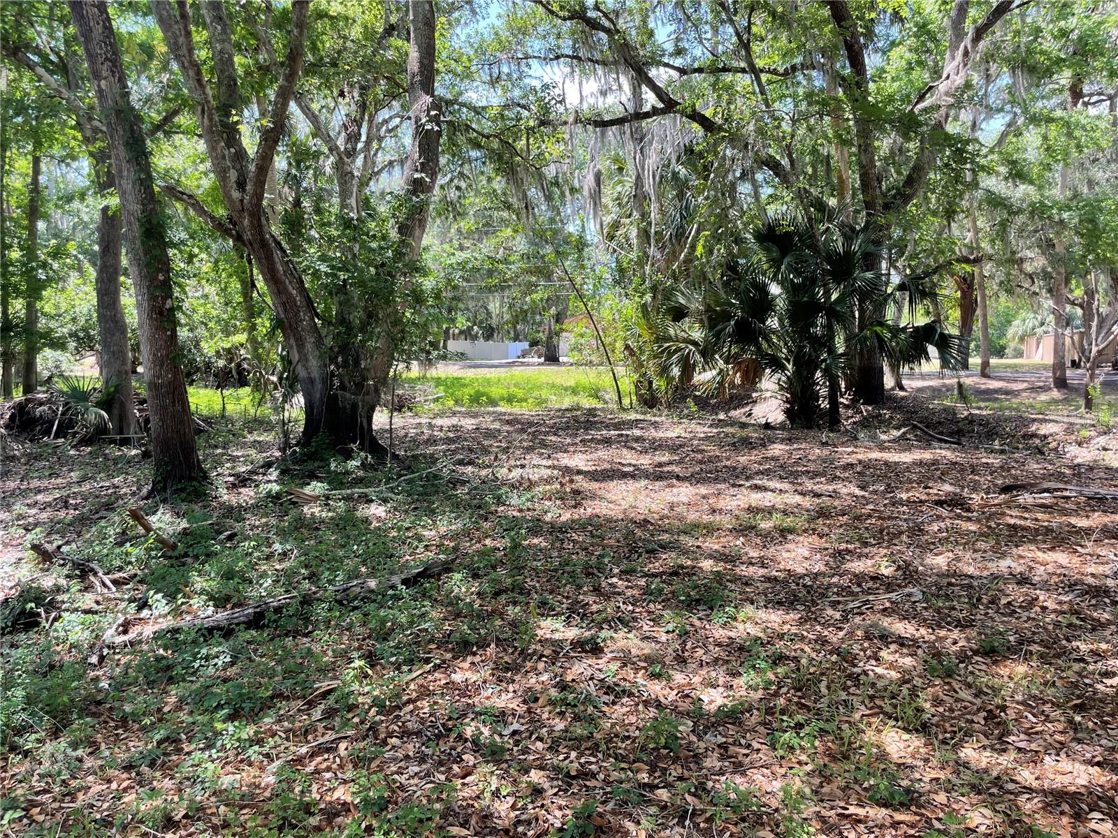 1496 KETTLEDRUM TRL, DELTONA, FL — photo 3