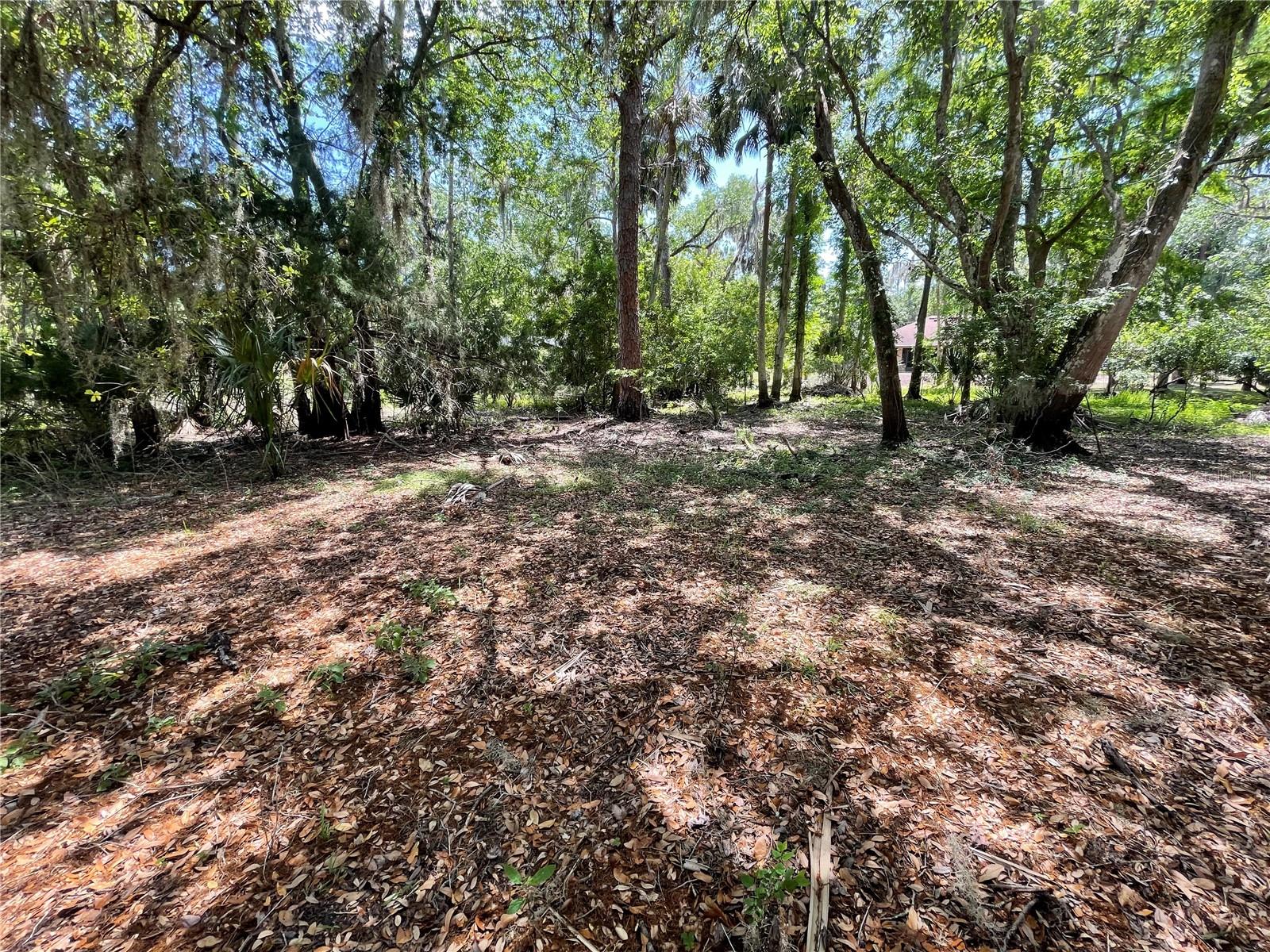 1496 KETTLEDRUM TRL, DELTONA, FL — photo 4