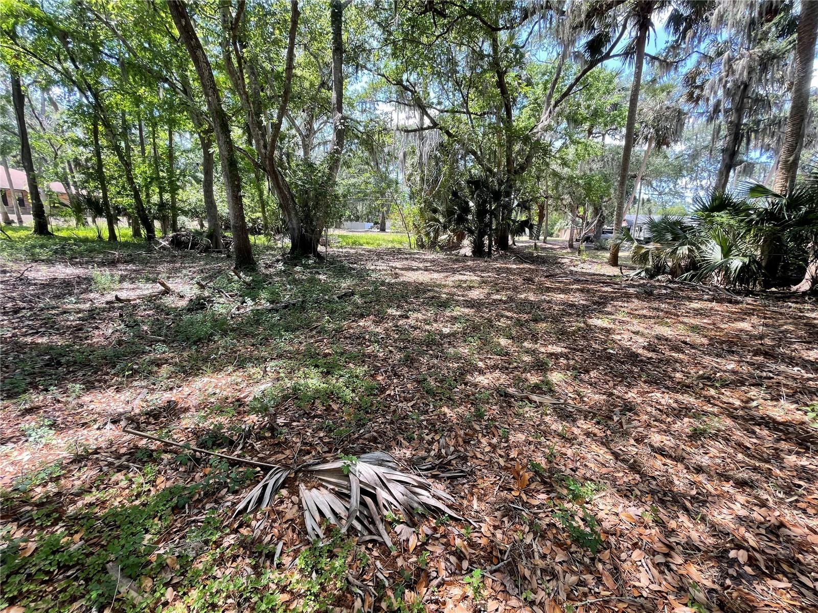 1496 KETTLEDRUM TRL, DELTONA, FL — photo 5