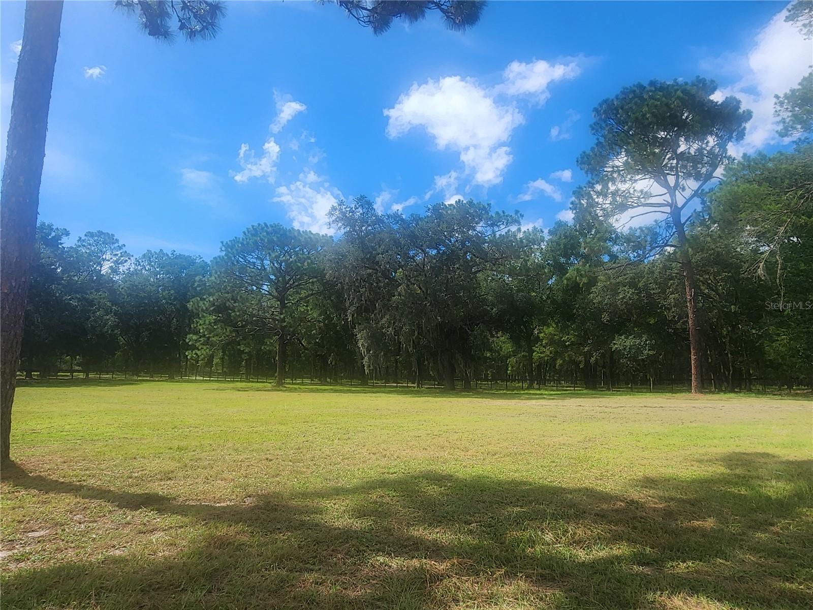 18975 W HIGHWAY 328, DUNNELLON, FL — photo 137