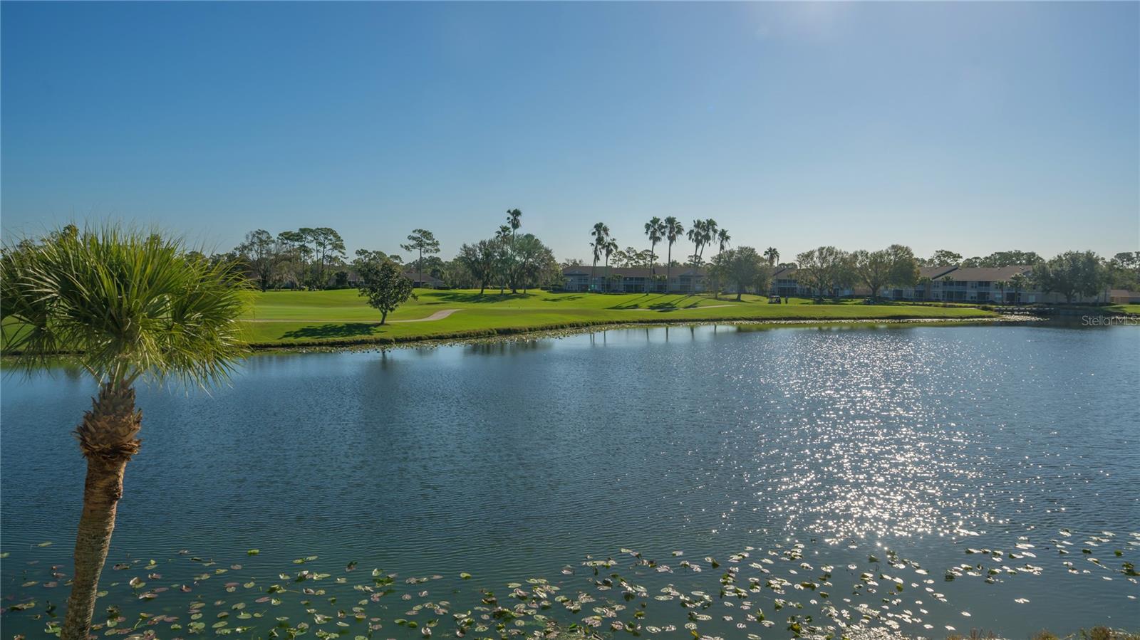 5241 MAHOGANY RUN AVE #425, SARASOTA, FL — photo 3