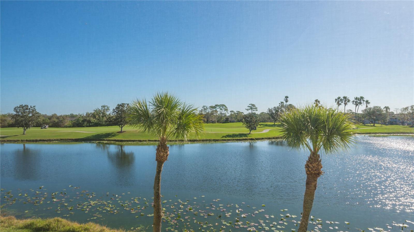 5241 MAHOGANY RUN AVE #425, SARASOTA, FL — photo 4