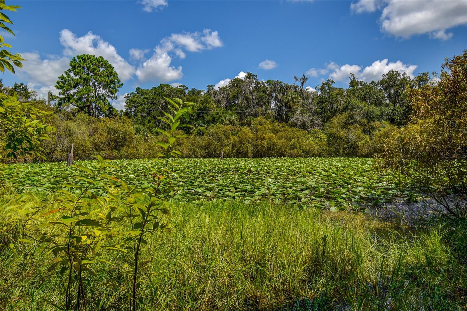 8601 W BASS LAKE RD #12, CRYSTAL RIVER, FL — photo 21