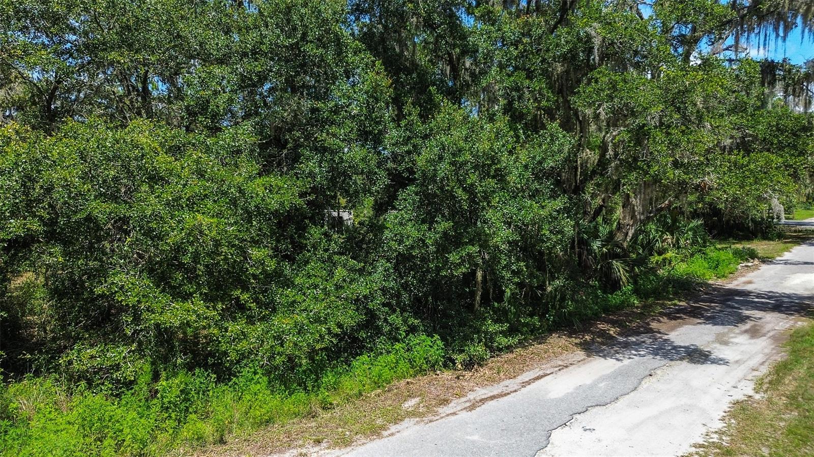 8683 N BELLFLOWER WAY, CRYSTAL RIVER, FL
