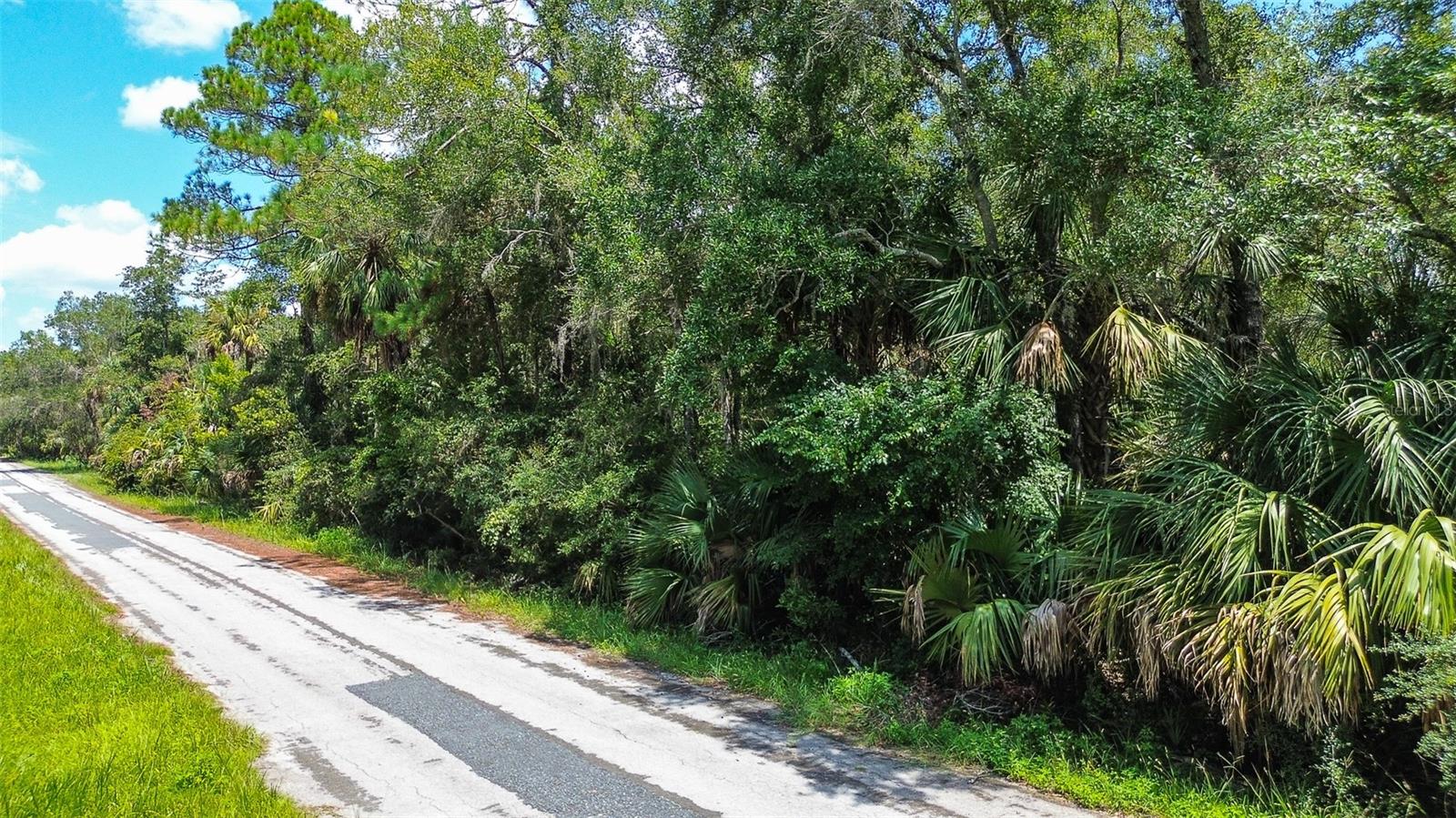 8683 N BELLFLOWER WAY, CRYSTAL RIVER, FL — photo 2