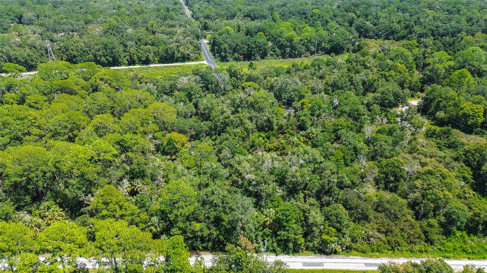 8683 N BELLFLOWER WAY, CRYSTAL RIVER, FL — photo 4