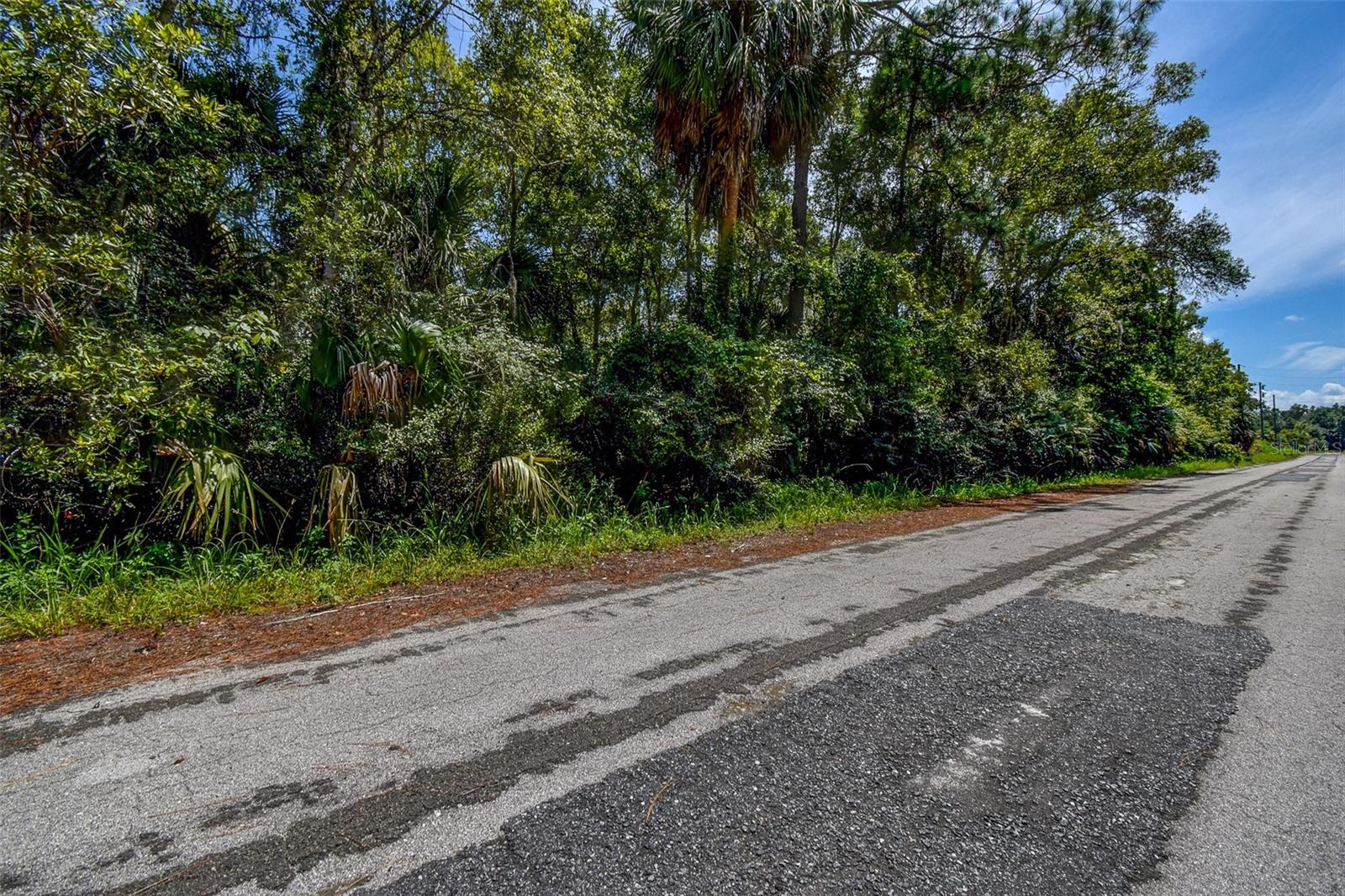 8683 N BELLFLOWER WAY, CRYSTAL RIVER, FL — photo 13