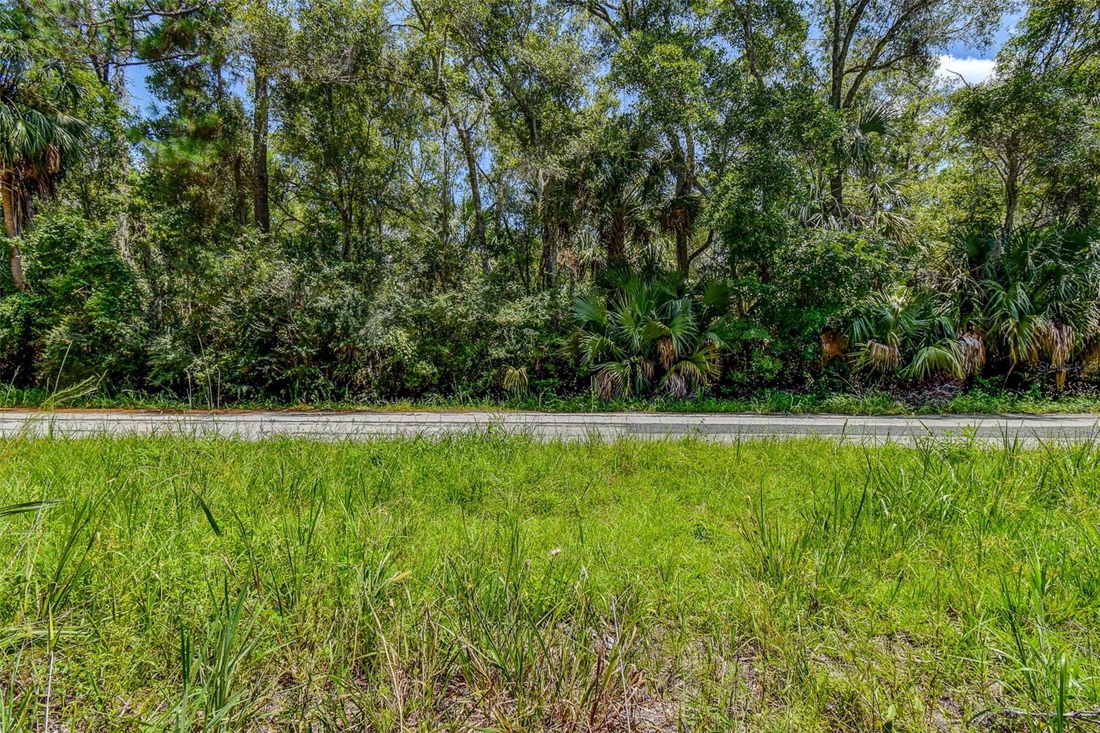 8683 N BELLFLOWER WAY, CRYSTAL RIVER, FL — photo 15