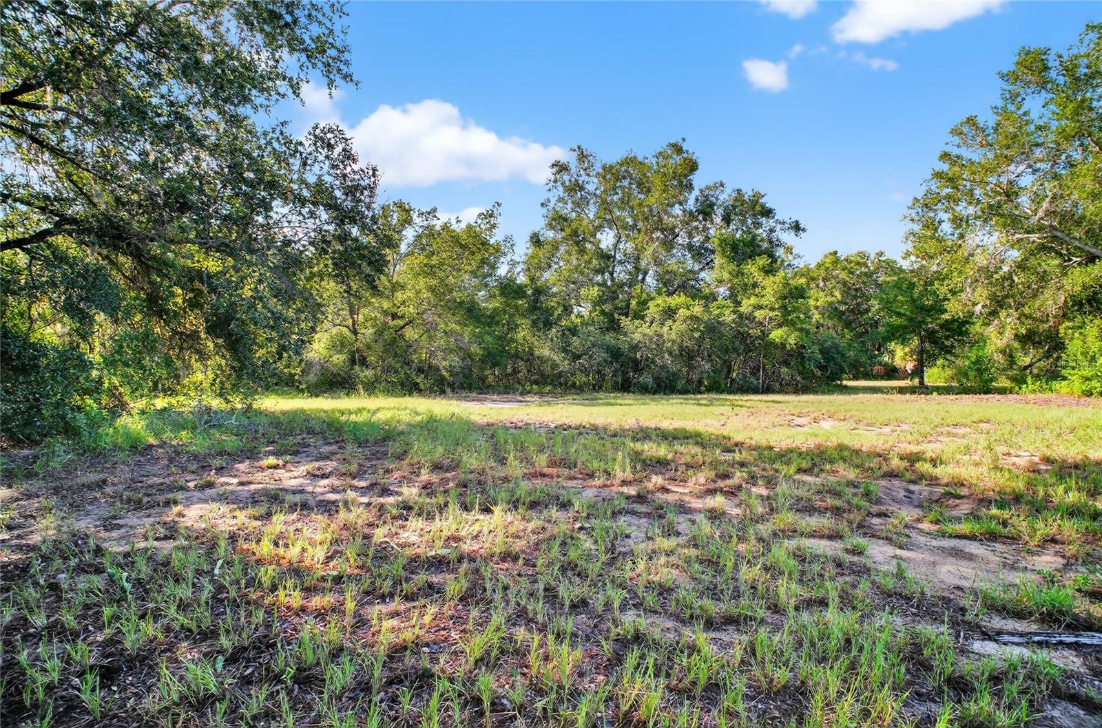 42012 STATE ROAD 19, ALTOONA, FL — photo 15