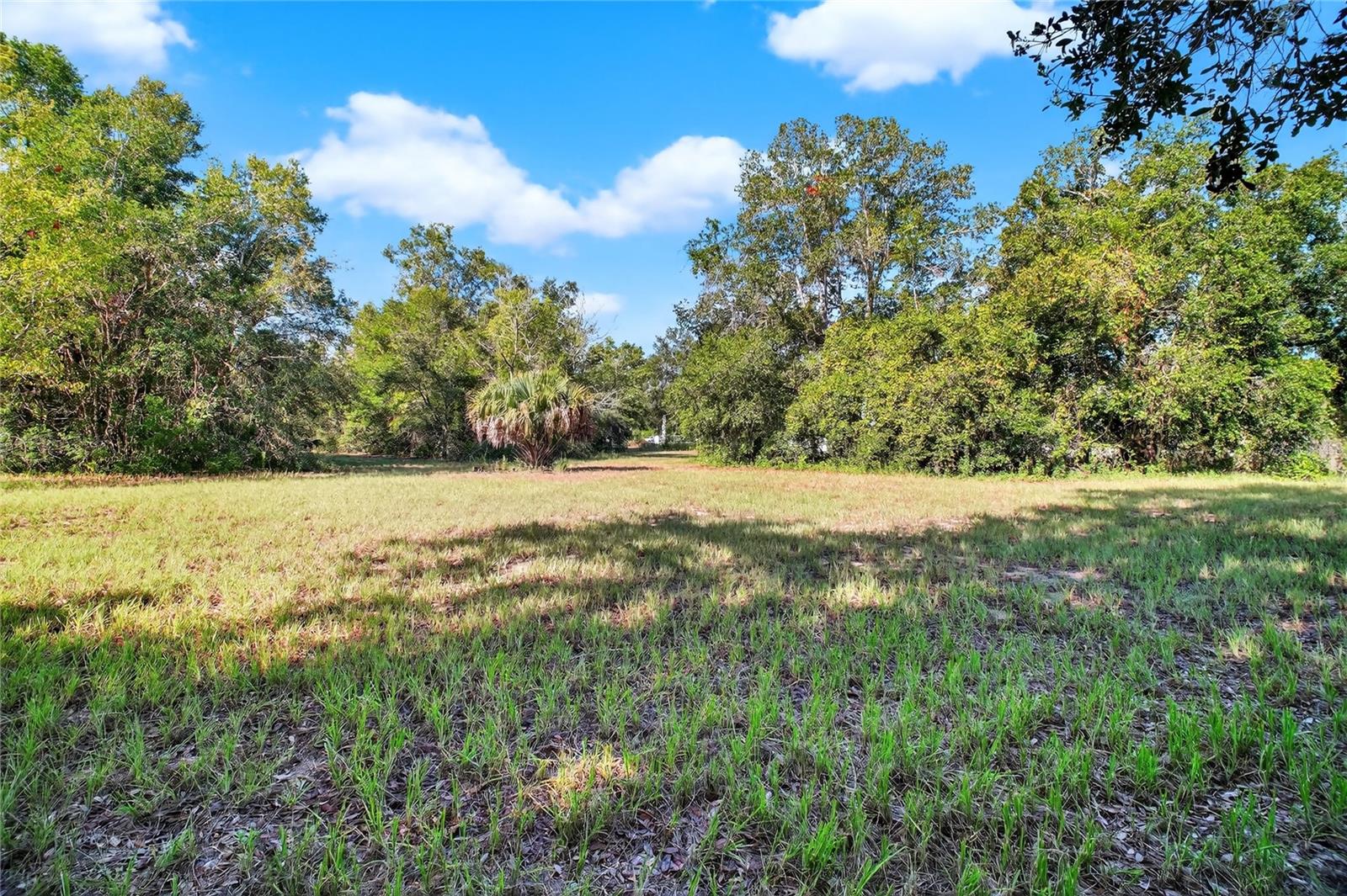 42012 STATE ROAD 19, ALTOONA, FL — photo 18