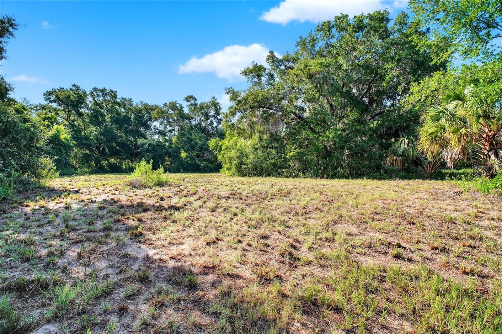 42012 STATE ROAD 19, ALTOONA, FL — photo 23
