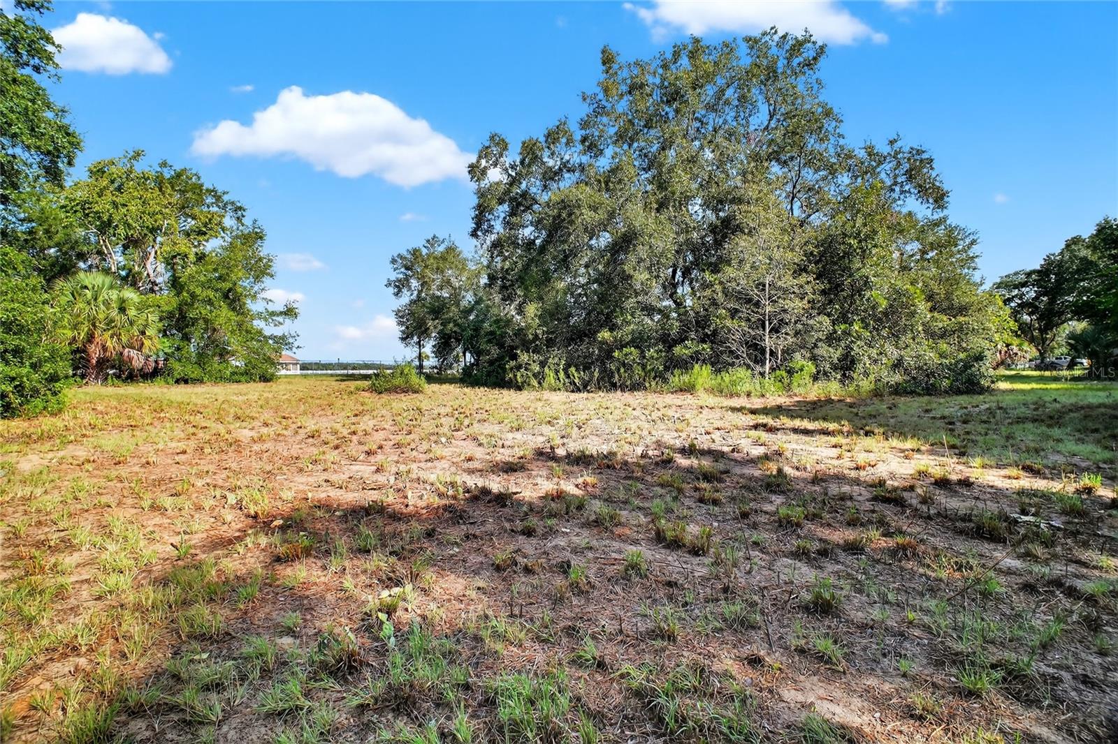 42012 STATE ROAD 19, ALTOONA, FL — photo 25