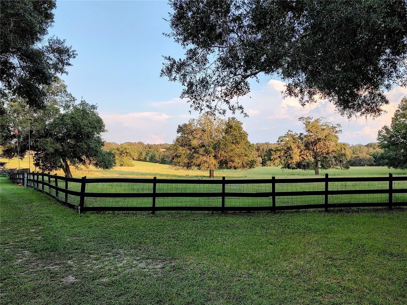 35126 WILLIAM LN, EUSTIS, FL — photo 124