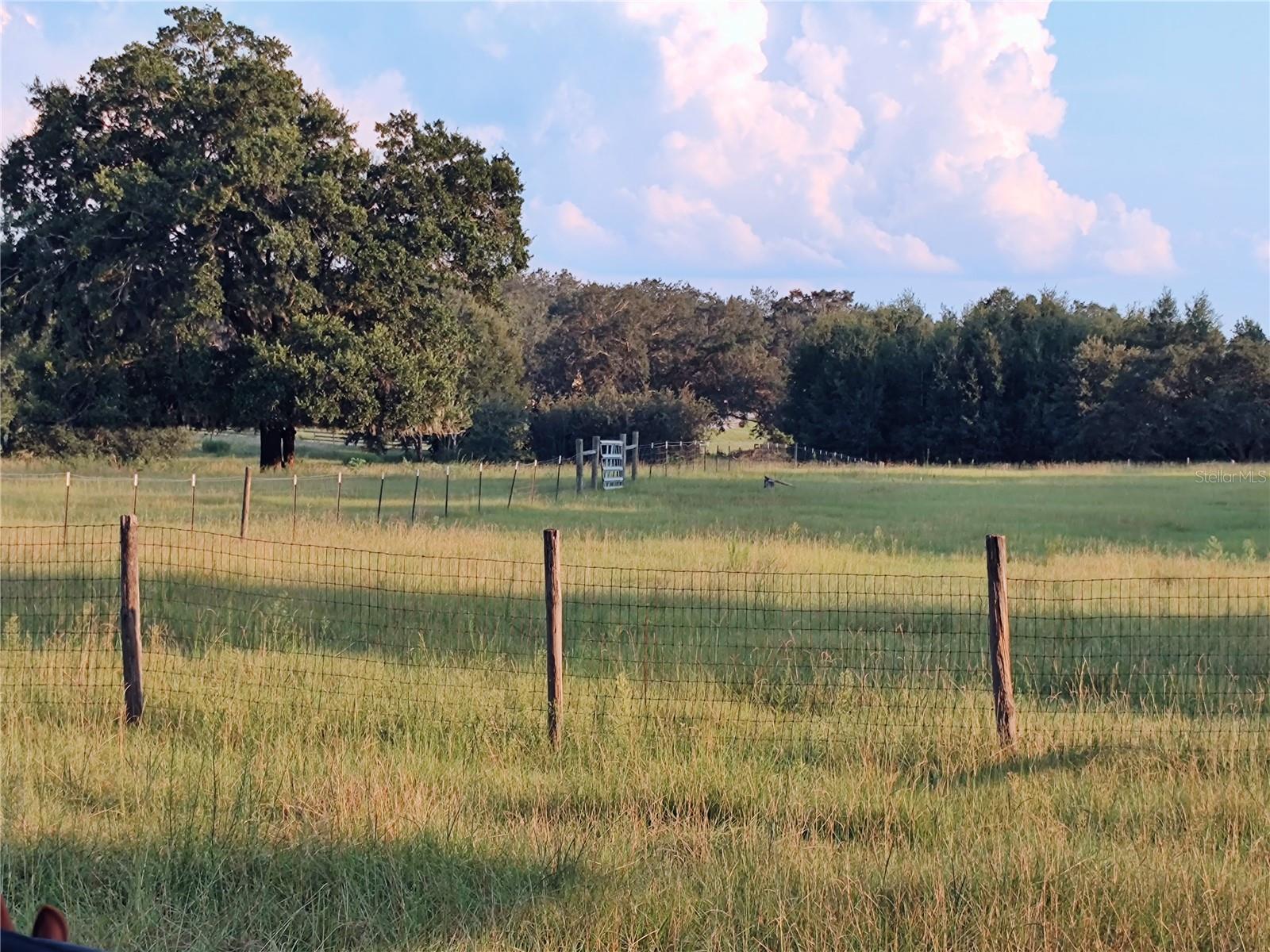 35126 WILLIAM LN, EUSTIS, FL — photo 133