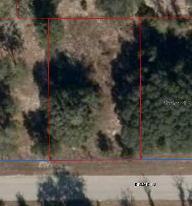11465 NE 69TH LN, WILLISTON, FL