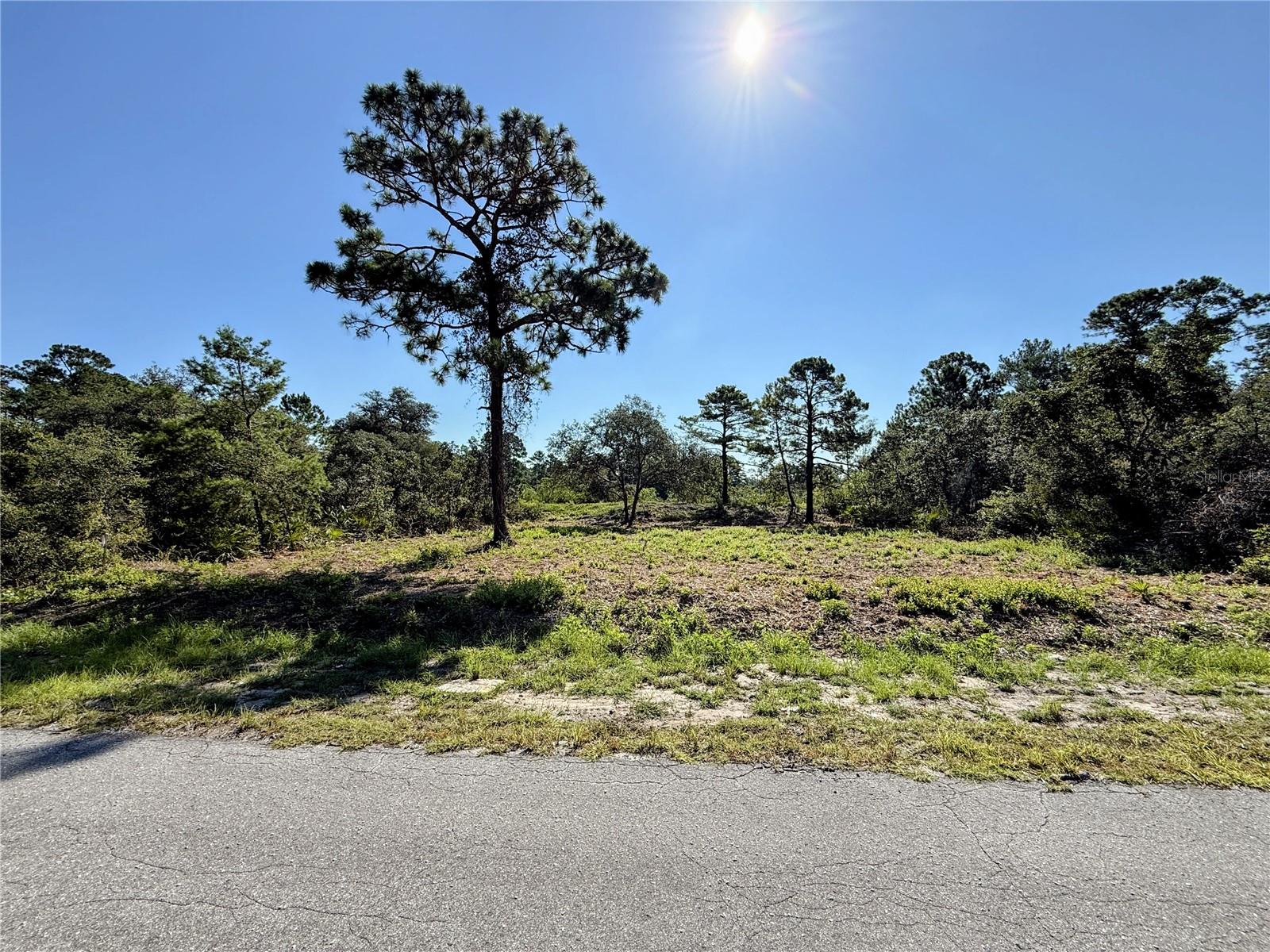 0 MALAUKA PASS, OCKLAWAHA, FL