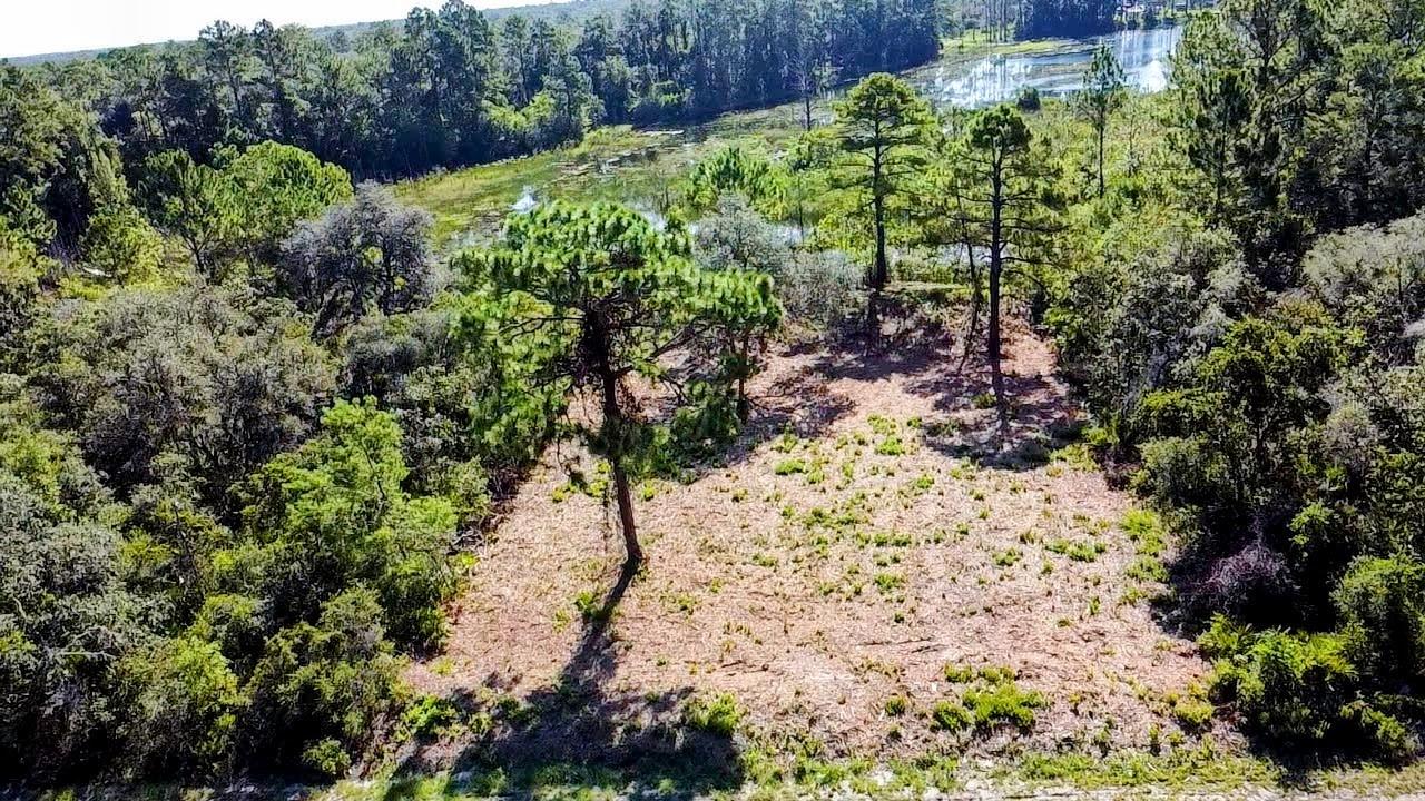0 MALAUKA PASS, OCKLAWAHA, FL — photo 2