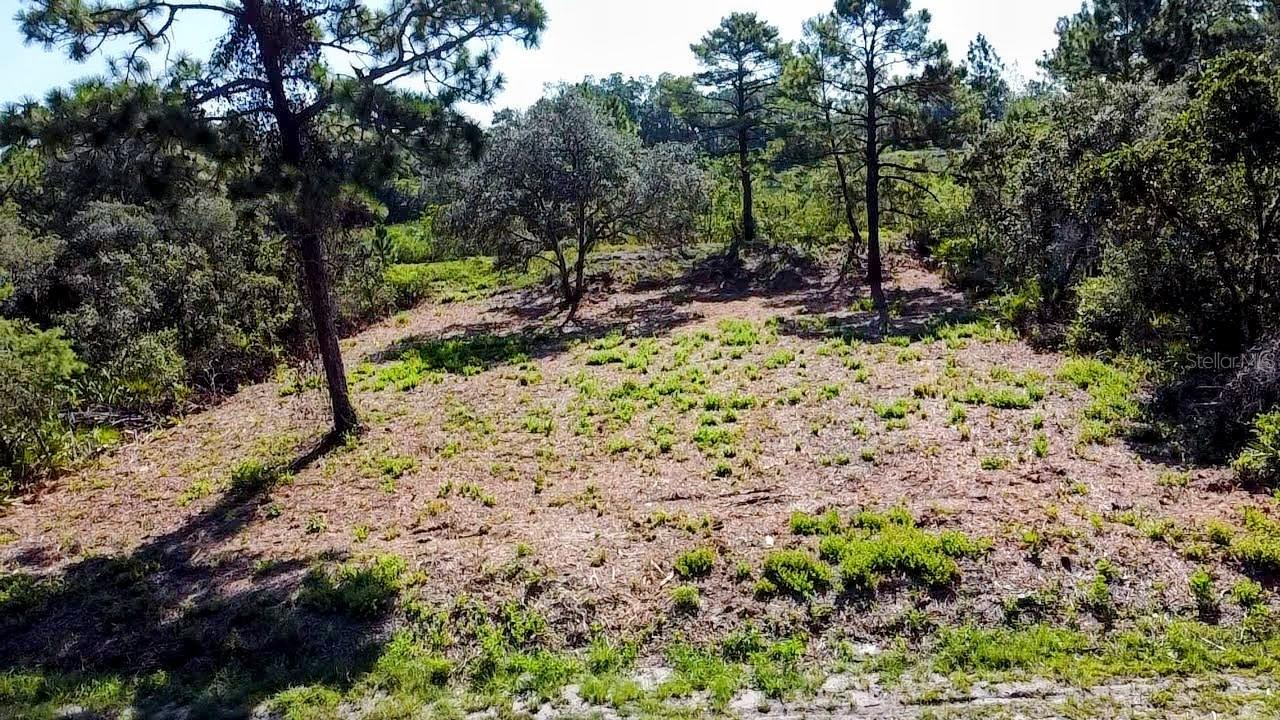0 MALAUKA PASS, OCKLAWAHA, FL — photo 3