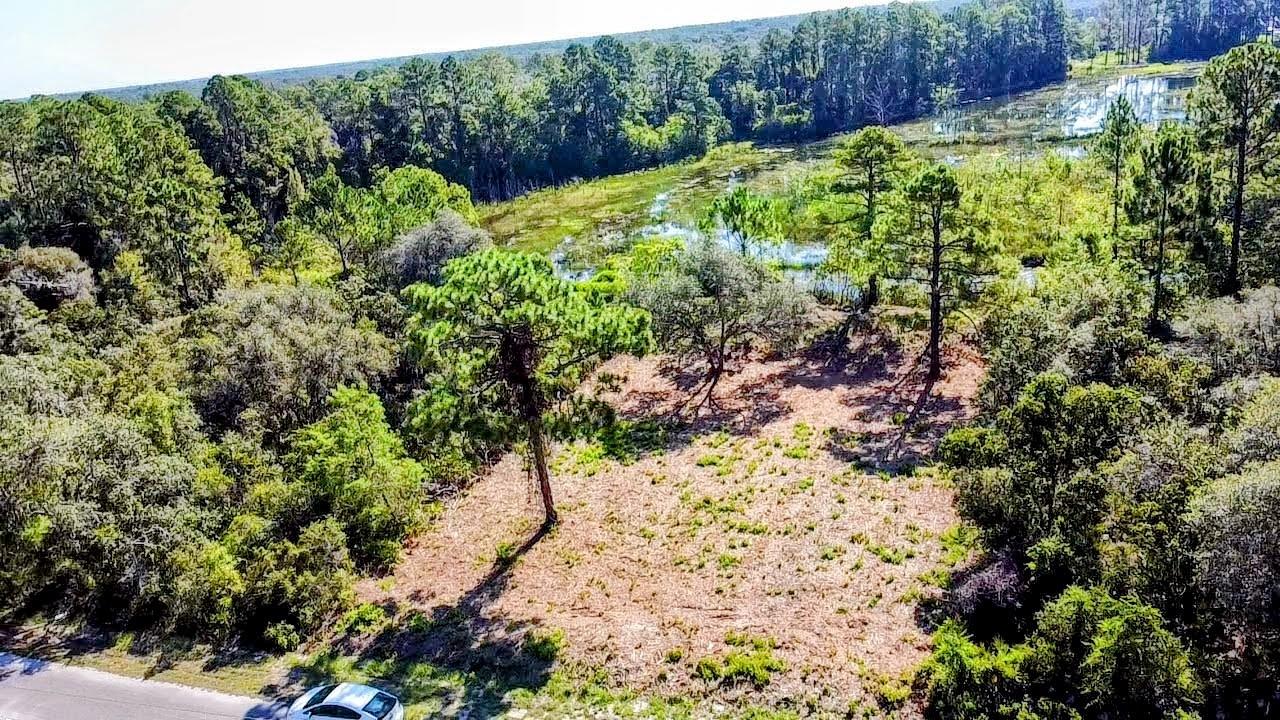 0 MALAUKA PASS, OCKLAWAHA, FL — photo 4