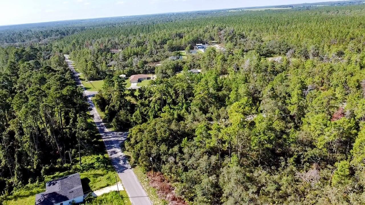 0 MALAUKA PASS, OCKLAWAHA, FL — photo 6